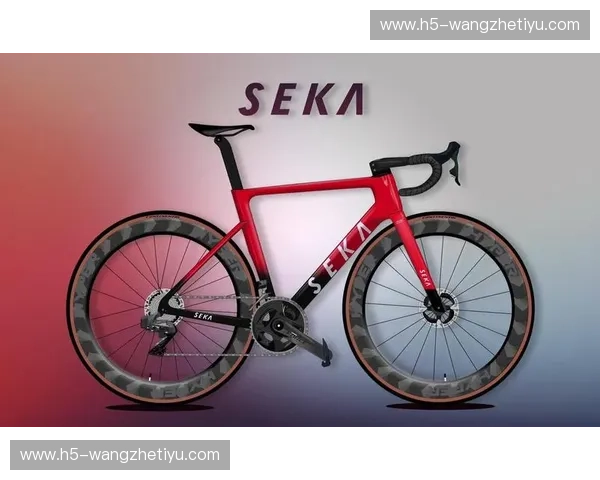 公路车分析：选车到升级的实战指南，让每一公里都值得回味